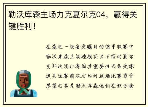 勒沃库森主场力克夏尔克04，赢得关键胜利！